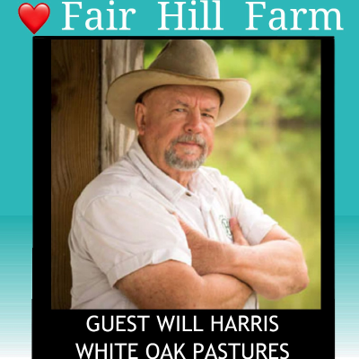 episode #44: Will Harris of White Oak Pastures on the beneficial social ripple effect of a successful regenerative farm artwork