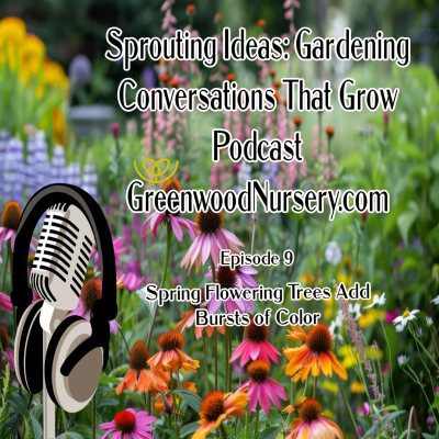 episode Episode 9 - Spring Flowering Trees Add Bursts of Color artwork