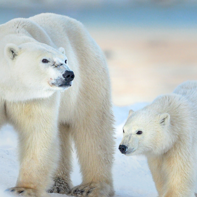 episode Episode 72 artwork