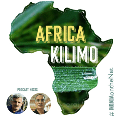 episode Africa Kilimo Episode 7 : Bringing private investments to Africa. Can Venture Capitalists help? artwork