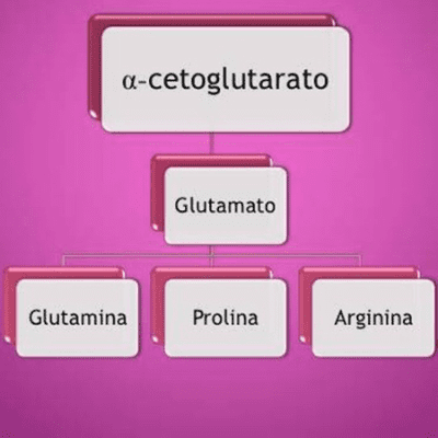 episode Familia del glutamato artwork