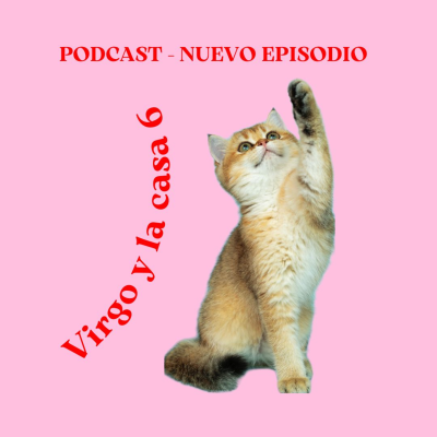 episode Virgo y la casa 6 artwork