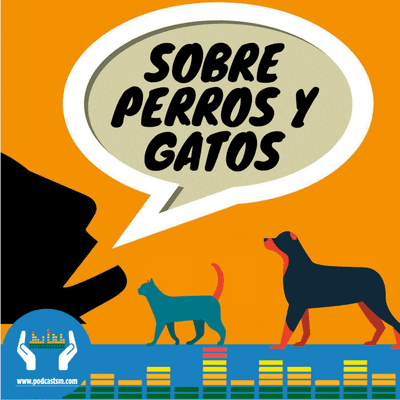 episode 220 - "Caballo blanco" proyecto de rehabilitación equina artwork