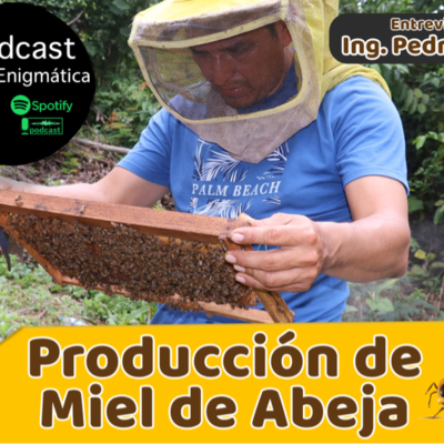 episode PRODUCCIÓN DE MIEL DE ABEJA/ EPISODIO 1 artwork