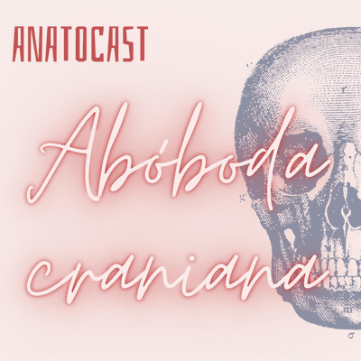 episode Desmistificando Ossos do Crânio - Abóbada Craniana artwork