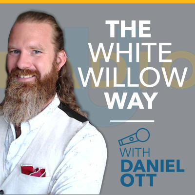 episode Dan and JoAnna Ott on design and business artwork