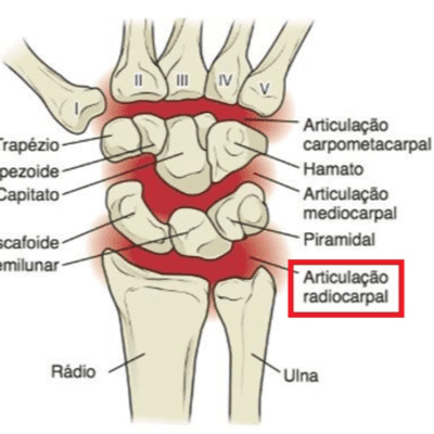 episode Artrologia - Articulação do punho ou radiocarpal artwork