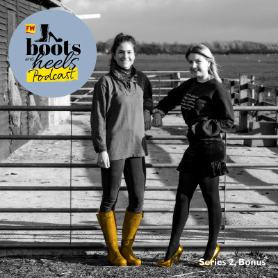episode S2, Bonus: Boots, Heels and Yellow Wellies artwork