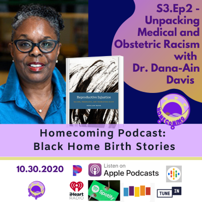 episode 3.2 Unpacking Medical and Obstetric Racism with Dr. Dana-Ain Davis artwork