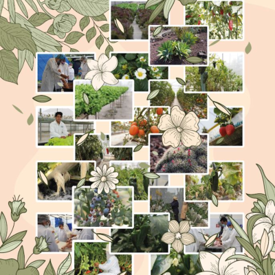 episode Gaceta FES Aragón 466 artwork