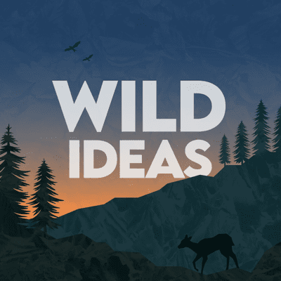 Wild Ideas