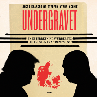 Cover image Undergravet