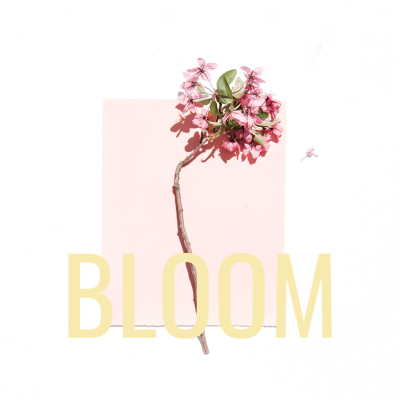 BLOOM