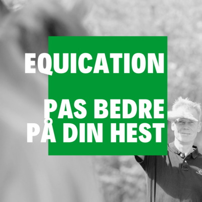 Equication