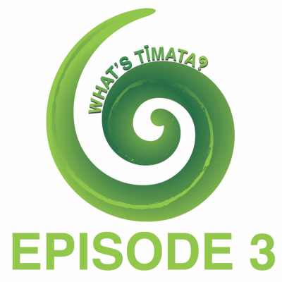 episode Episode 3 artwork