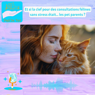 episode Et si la clef pour des consultations félines sans stress était... les pet parents ? artwork