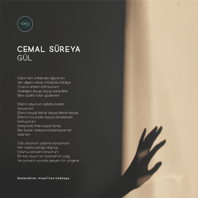 episode Şiir | Cemal Süreya - Gül artwork
