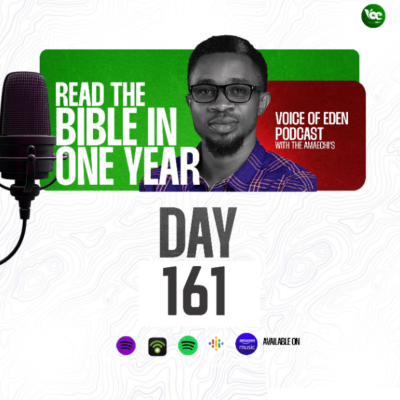 episode BIBLE IN ONE YEAR (DAY161) artwork