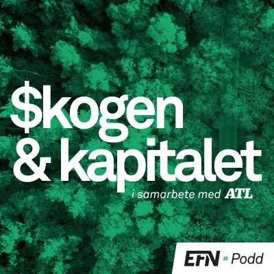 episode Skogen & Kapitalet: Hur mår virkesmarknaden? artwork