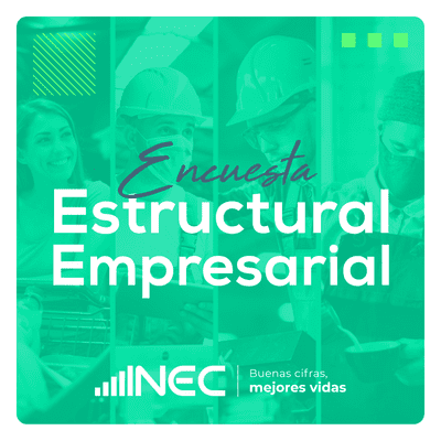 episode Encuesta Estructural Empresarial, Enesem artwork