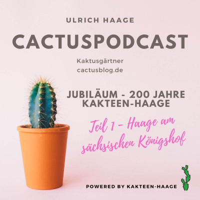 episode CactusPodcast – 038 Kakteengeschichte – Jubiläum – Haage am Sächsischen Hof artwork