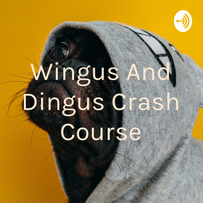 episode Wingus and dingus crash course #1 artwork
