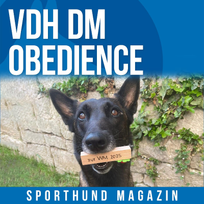 episode #32 VDH DM Obedience artwork