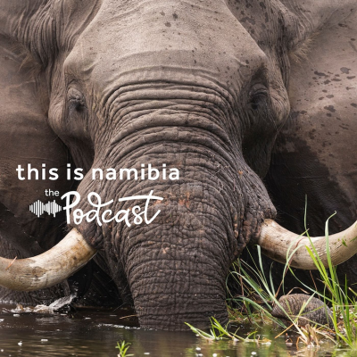 episode Namibia's Wettest Wonderland artwork