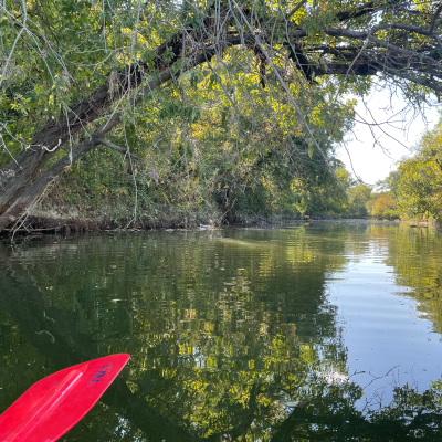 episode Kayaking at White Rock Lake. artwork