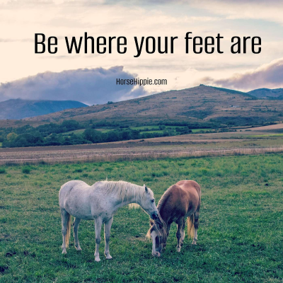 episode Your Life is Your Spiritual Path artwork