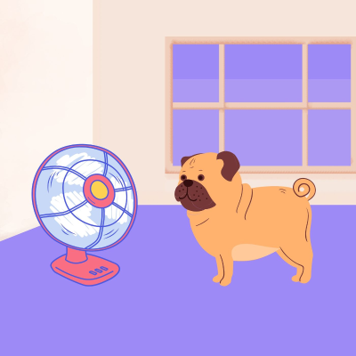 episode Fan Sound for Sleep for Pets artwork