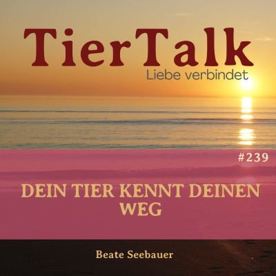 episode 239. Dein Tier kennt deinen Weg artwork