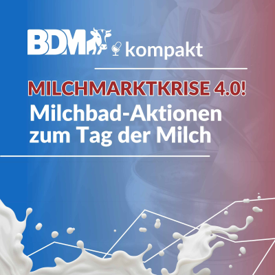 BDM-Aktionen zum Tag der Milch: „Wir baden aus, was die Politik versäumt!“
