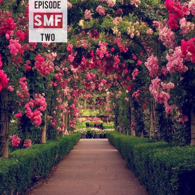 episode Episode 2 artwork