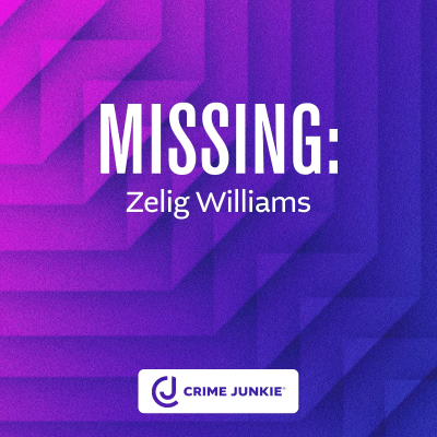 episode MISSING: Zelig Williams artwork