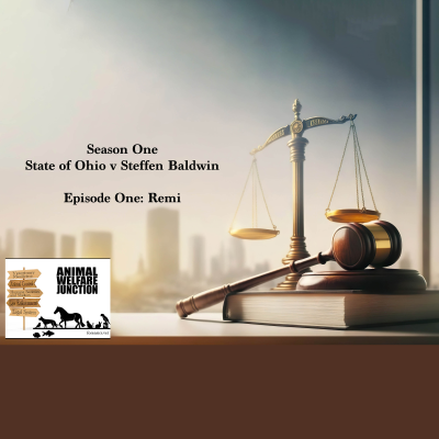 episode Season 1: State v Steffen Baldwin / Episode 1: Remi artwork