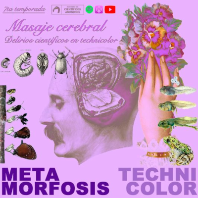 episode METAMORFOSIS TECHNICOLOR artwork
