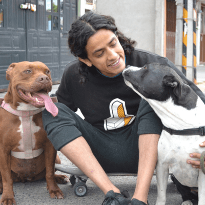 episode ¡Cómo reaccionar ante un perro que te quiere morder! artwork