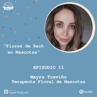 episode E11. Flores de Bach en Mascotas | Mayra Treviño Terapeuta Floral de Mascotas artwork