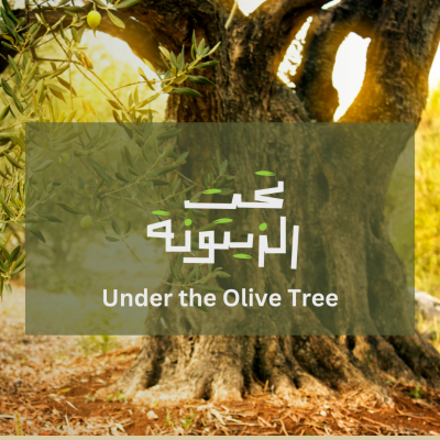 BuildPalestine: Under the Olive Tree