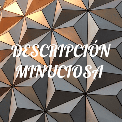 DESCRIPCIÓN MINUCIOSA