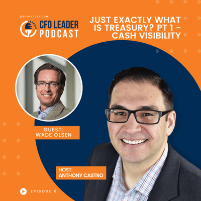 episode Wade Olsen - Just exactly what IS treasury? Pt. 1 - Cash Visibility artwork