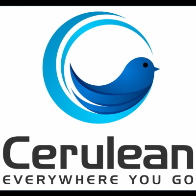 episode Episode 002 Cerulean Mobile - Where Is The Wizard? artwork