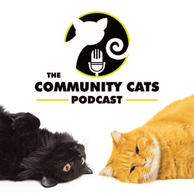 episode Episode 18: Community Cats Podcast artwork