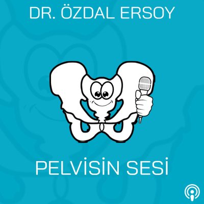 Billede af showet Pelvisin Sesi