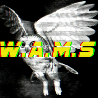 episode Episode 10: WAMS W4 Dubstep... artwork