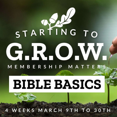 episode Starting to Grow (Membership Matters) - Bible Basics - Darren Bovis-Coulter artwork