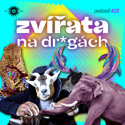 episode Jak fetuji zvířata? artwork