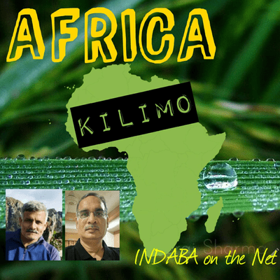 episode Africa KILIMO Episode 5: Seeking solutions to various Challenges to African Agriculture artwork