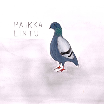 episode Paikkalinnut, nuo talven taiturit – Miljan mainiot lintufaktat, osa 5 artwork